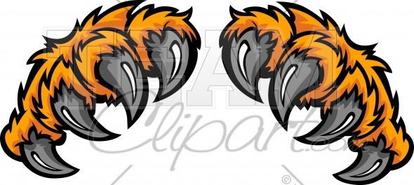 590x264 Tiger Nail Spider Clipart