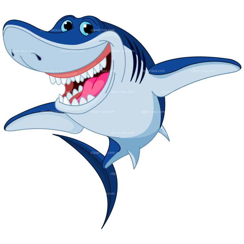 800x800 Shark Clipart