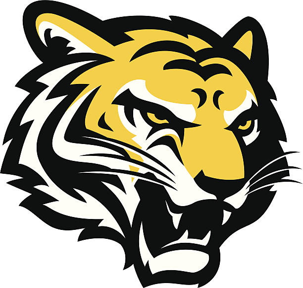 612x580 Collection Of Tiger Clipart