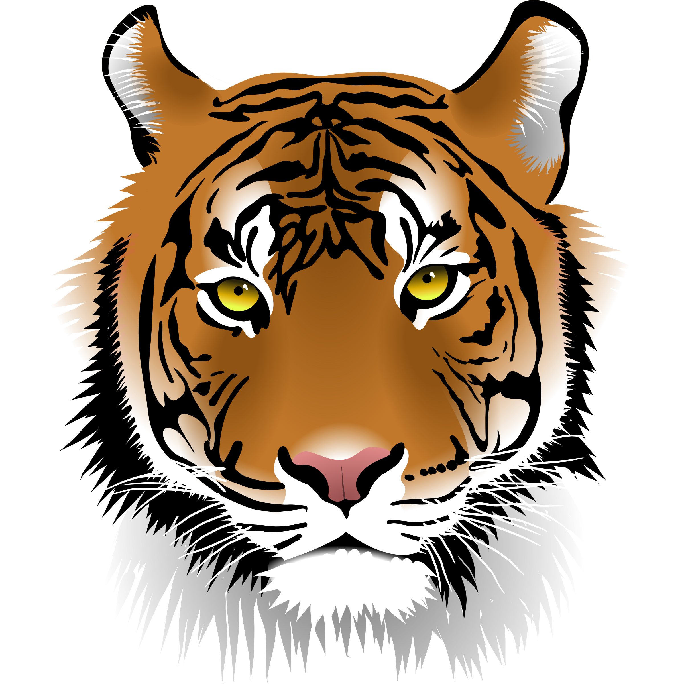 2400x2400 Collection Of Tiger Clipart