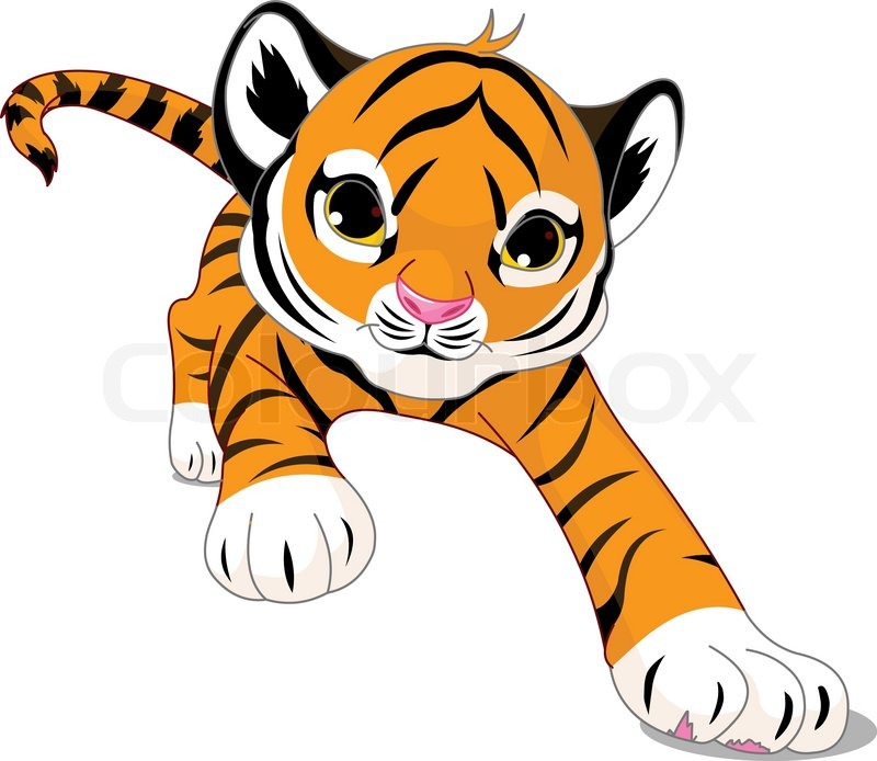 800x694 Illustration Of Running Cute Baby Tiger Stock Vector Colourbox