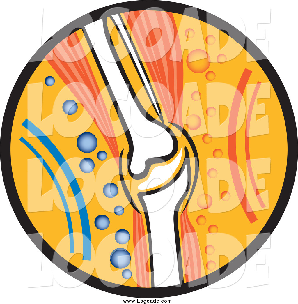 1024x1044 Clipart Of A Knee Joint With Muscle Tissue Logo By Dero
