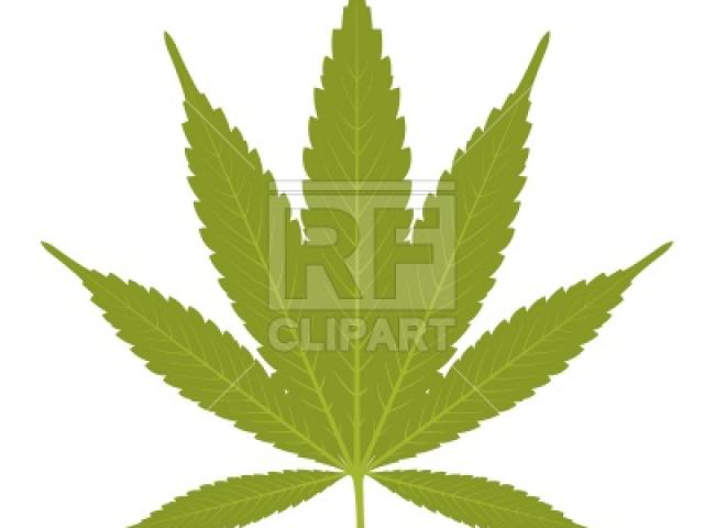 640x480 Cannabis Clipart
