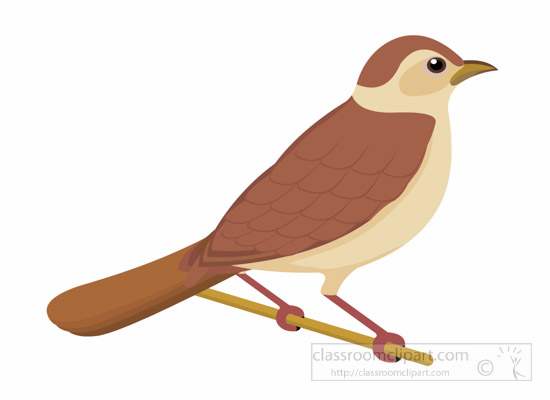 550x400 Top 96 Nightingale Clip Art