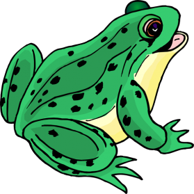 279x279 Frog Png Images Transparent Free Download