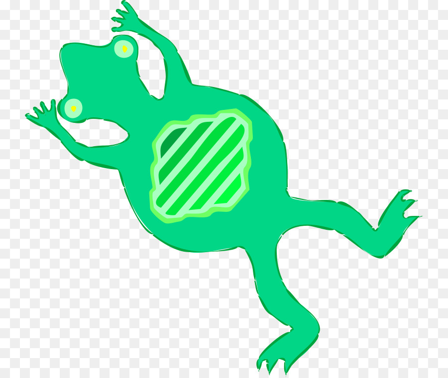 900x760 Frog Roadkill Computer Icons Clip Art