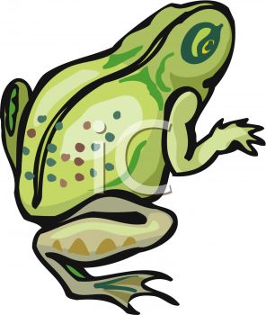 296x350 Picture Of A Frog On A White Background In A Vector Clip Art