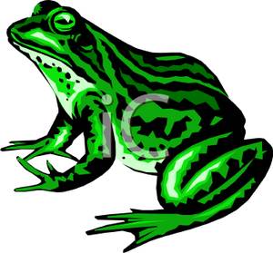 300x279 Toad Clipart
