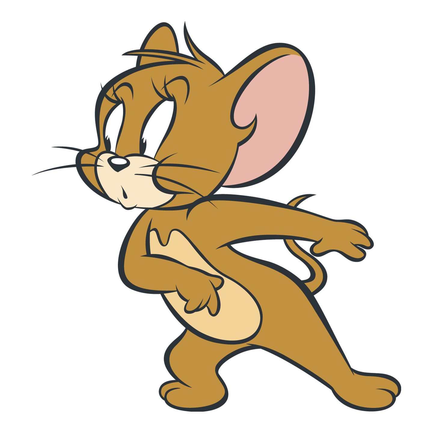 1440x1440 Tom And Jerry Cartoon