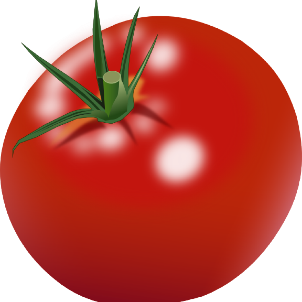 1024x1024 Tomato Clipart Bird Clipart