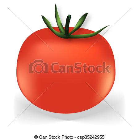 450x453 Tomato Clipart Vector