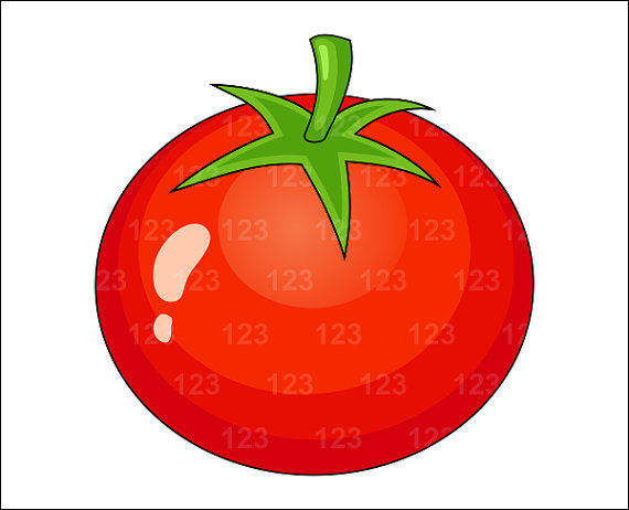 570x462 Collection Of Single Vegetables Pictures Clipart High