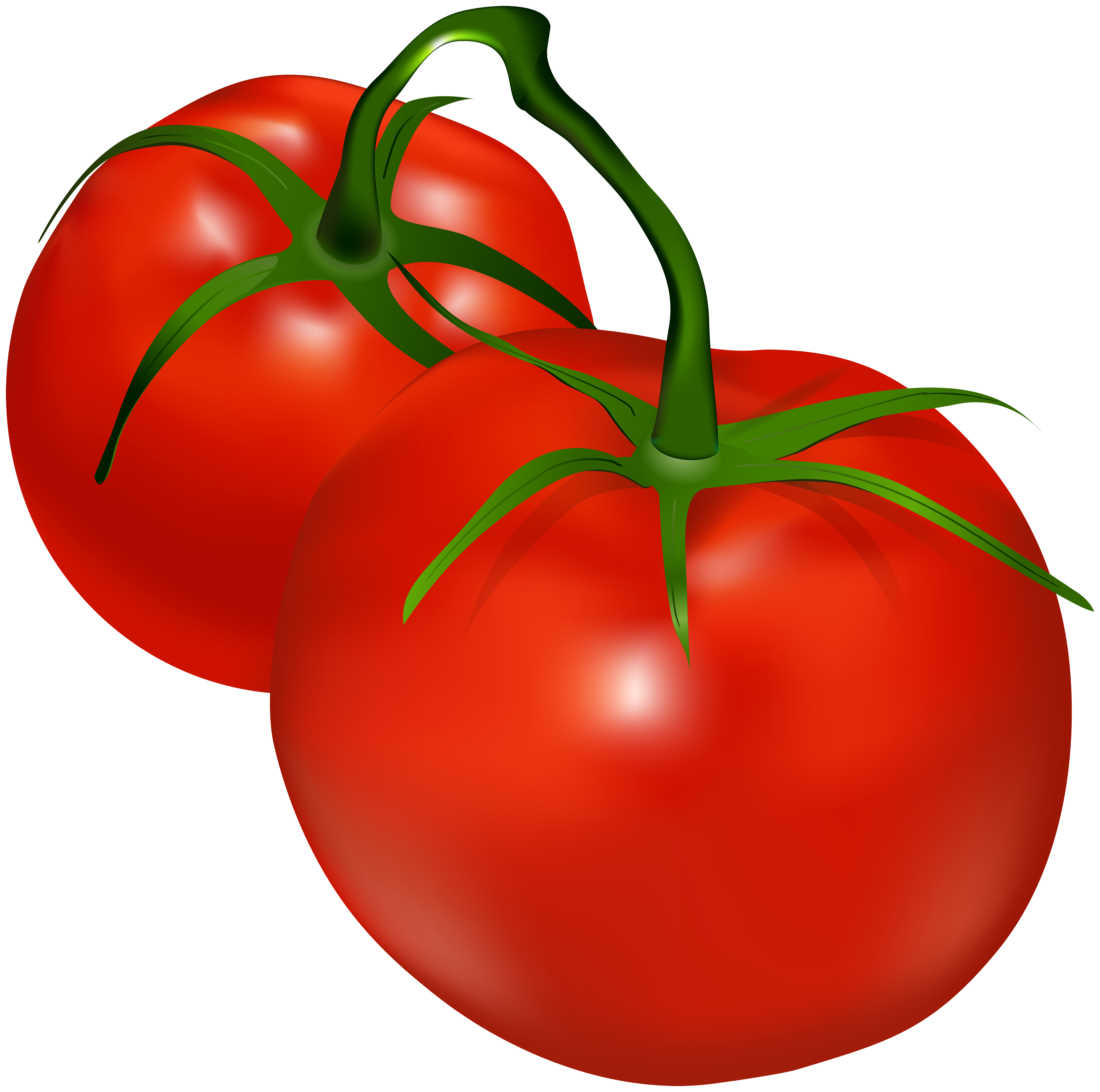 8000x7942 Tomatoes Transparent Png Clip Artu200b Gallery Yopriceville