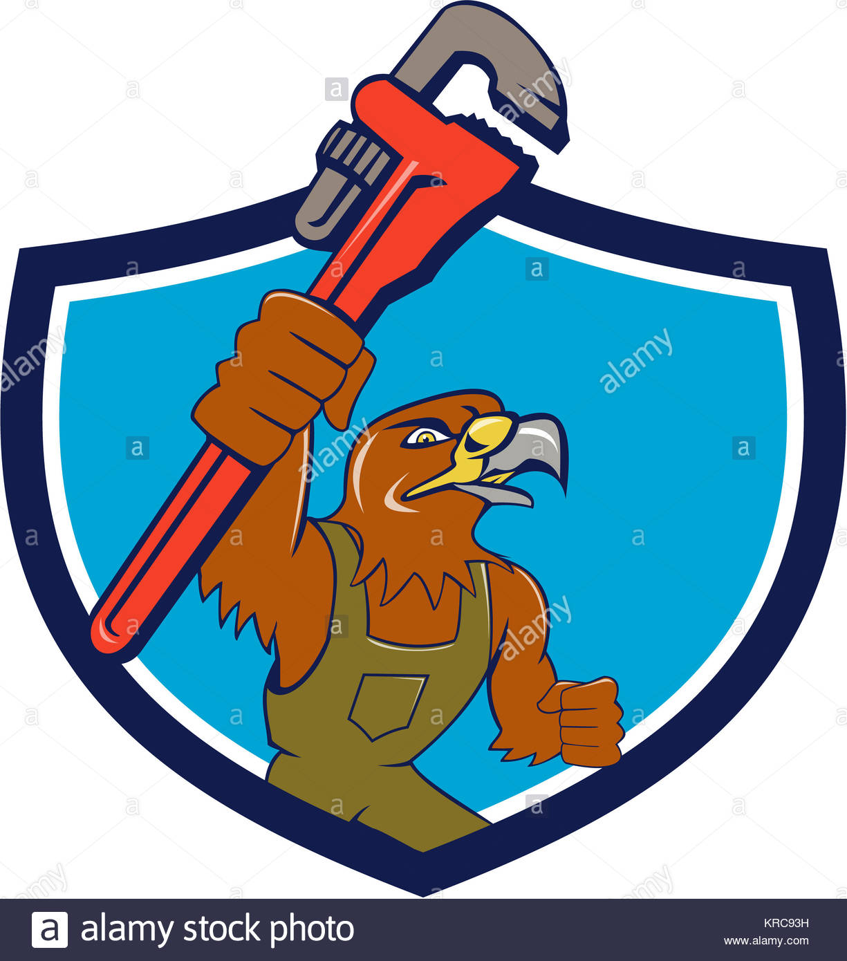 1225x1390 Cartoon Hawk Stock Photos Amp Cartoon Hawk Stock Images