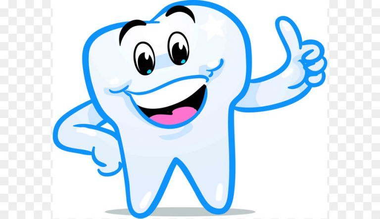 768x444 Teeth Clipart Png Tooth Fairy Smile Human Tooth Clip Art Dental