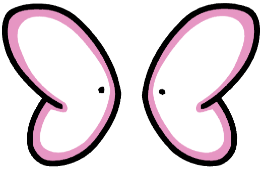 522x339 Tooth Fairy Wings Scribblenauts Wiki Fandom Powered By Wikia