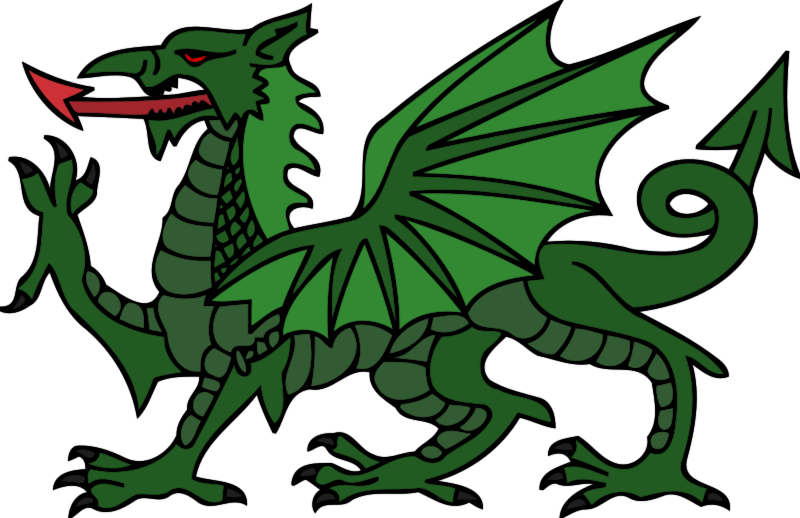 800x518 Collection Of Clipart Of Dragon High Quality, Free Cliparts