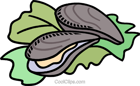 480x295 Top 92 Oyster Clip Art Free Clipart Spot Png