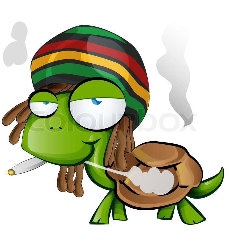 760x800 Jamaican Tortoise Cartoon On White Background Stock Vector