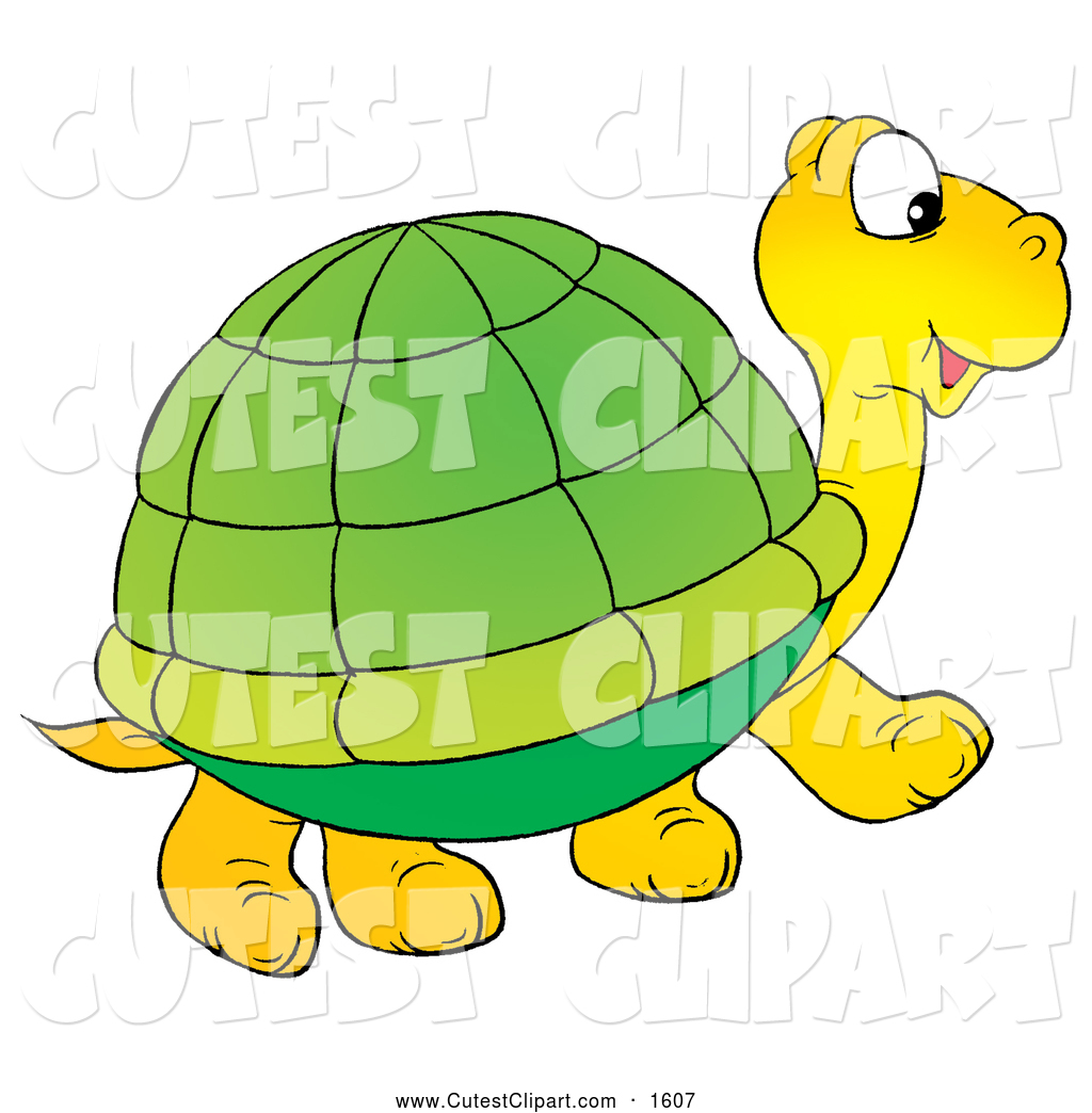 1024x1044 Tortoise Clipart Clipart Panda