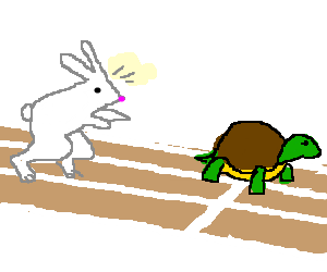 300x250 Race Between The Tortoise And The Hare