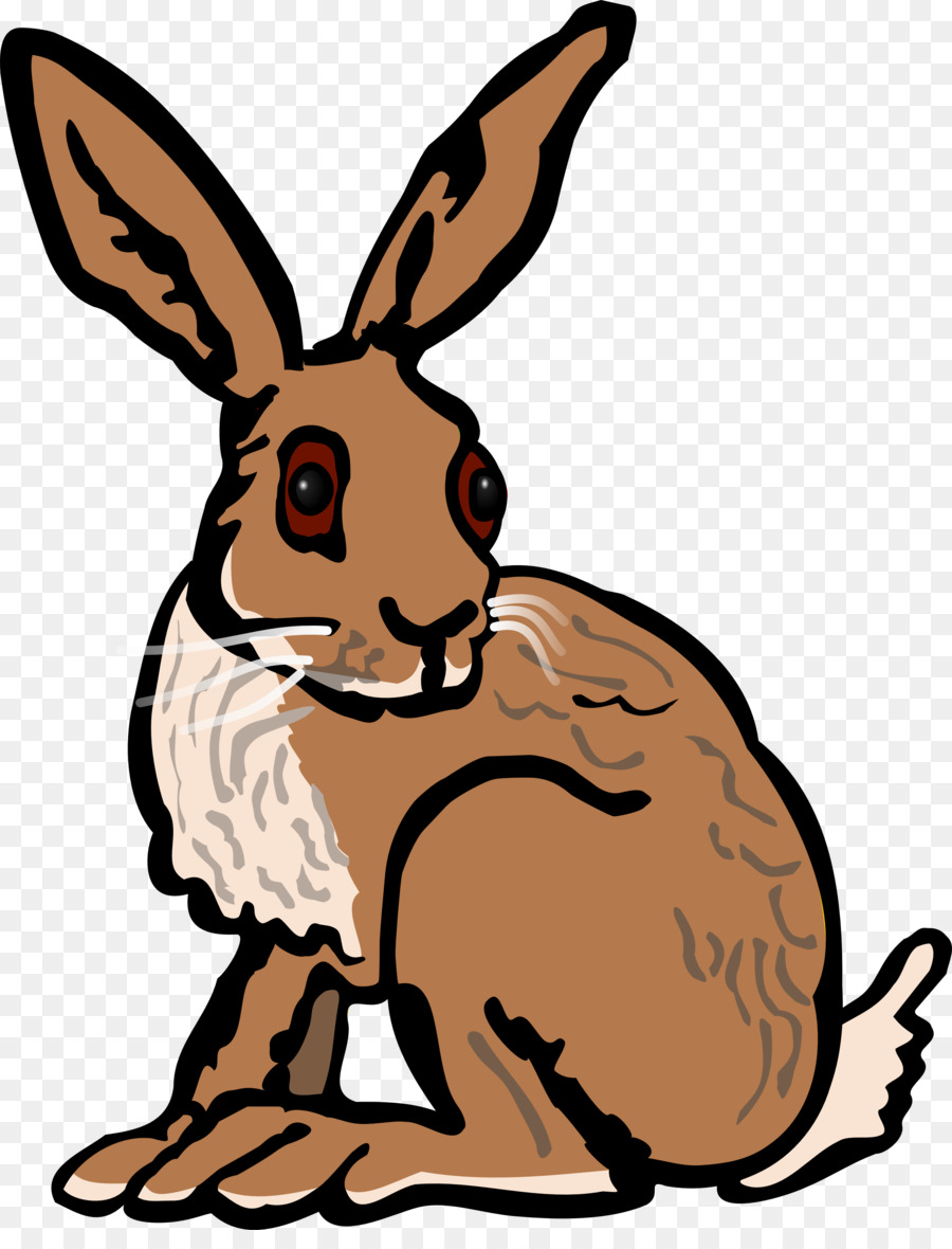 900x1180 European Hare Arctic Hare Rabbit Clip Art