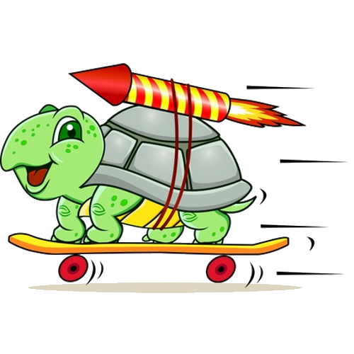 500x500 Tortoise And Turtle'S