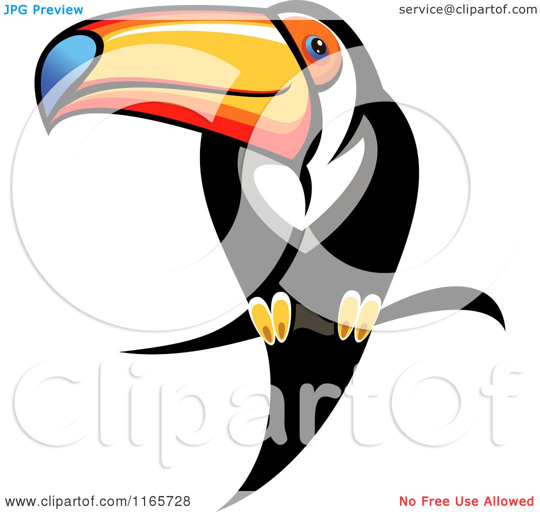 1080x1024 Clipart Of A Perched Toucan Bird