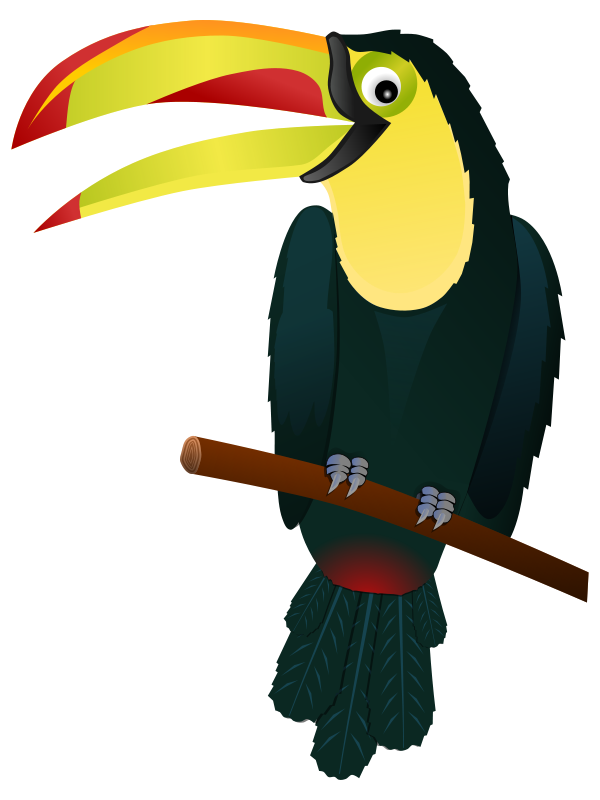600x800 Free Clipart Toucan Gnokii