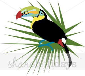 300x267 Toucan Bird Clipart Party Clipart Amp Backgrounds
