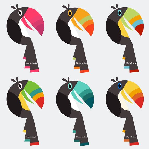570x570 Toucan Digital Clipart