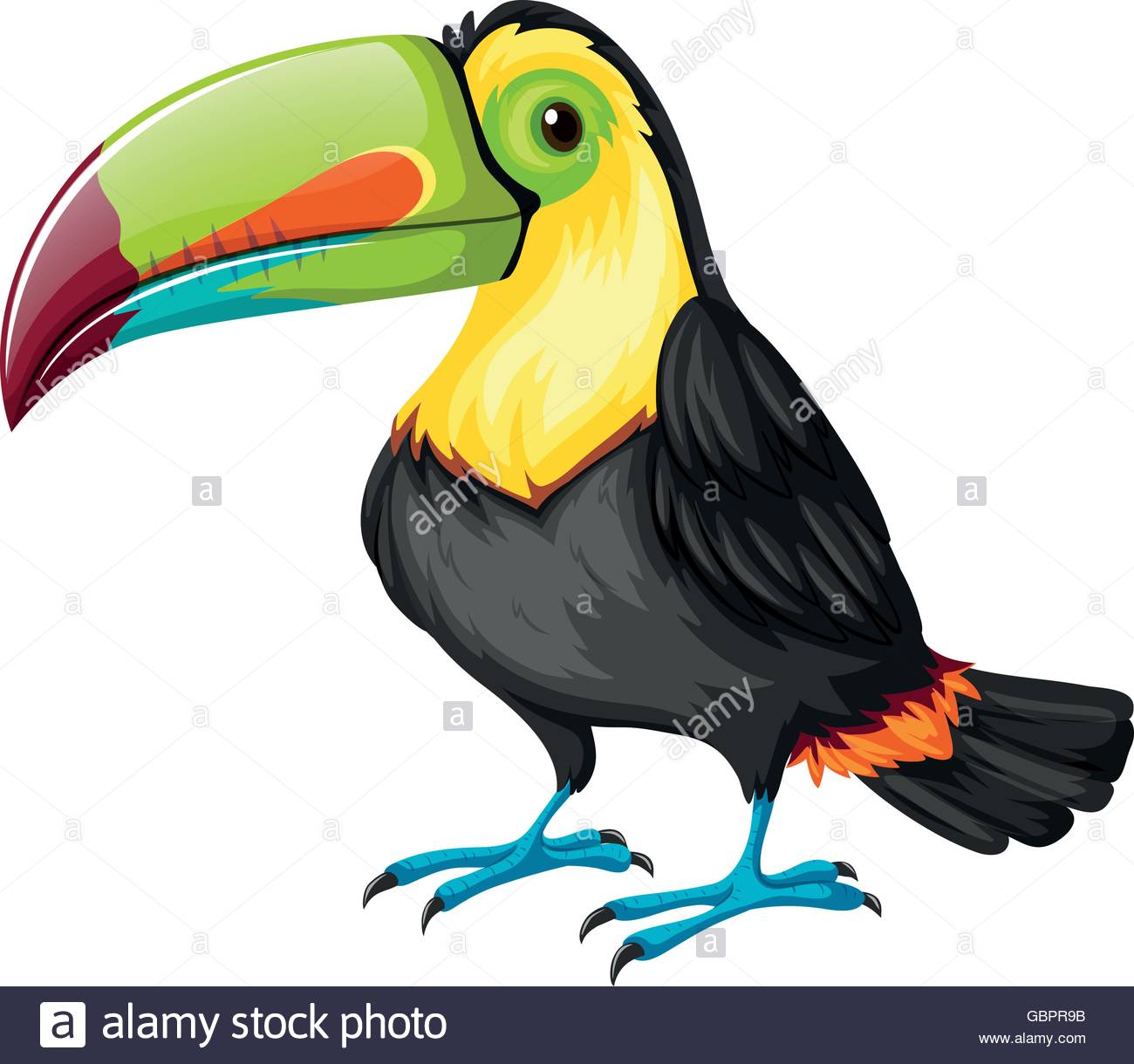 1300x1220 Toucan Bird On White Background Illustration Stock Vector Art