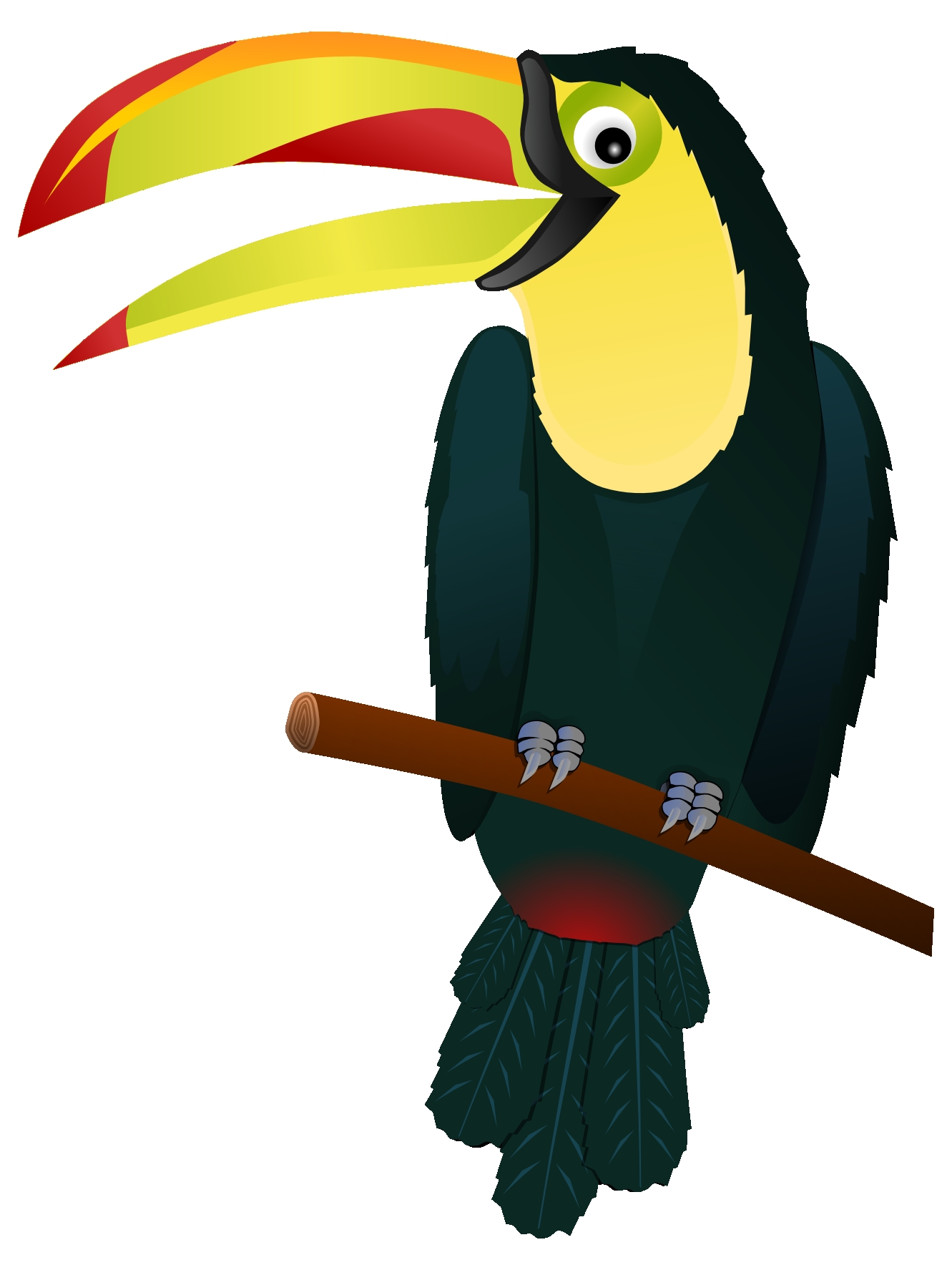 1331x1775 Fresh Toucan Clipart Gallery