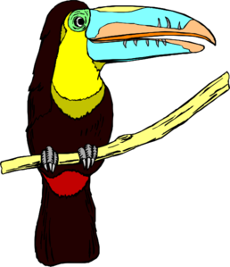 258x299 Perched Toucan Clip Art