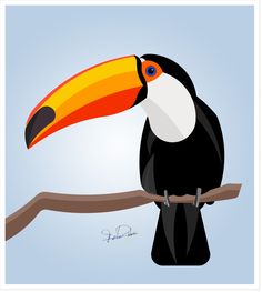 236x263 Toucan