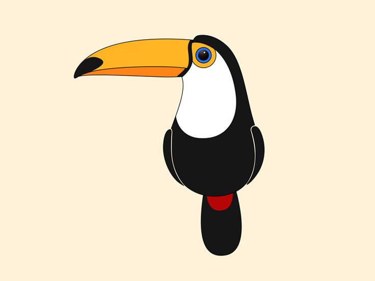 736x552 Toucan Clipart Real Animal Free Collection Download And Share