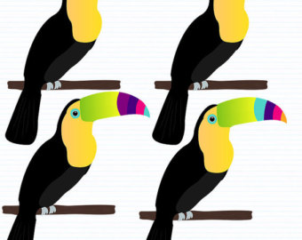 340x270 Toucan Clipart Etsy