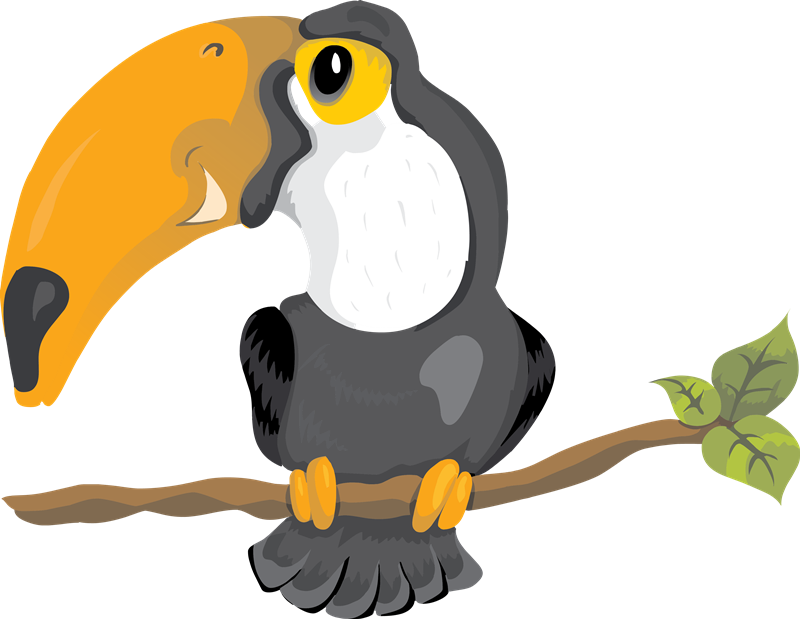 800x619 Toucanet Clipart Vertebrate