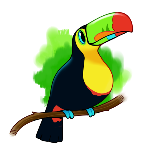 500x527 Toucan Draws Tumblr