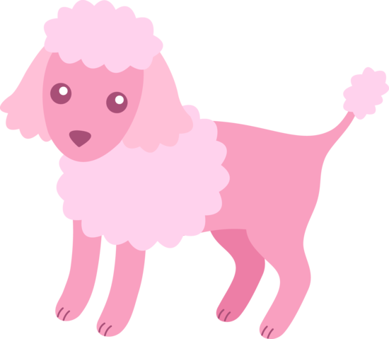 550x479 Cute Fluffy Pink Poodle