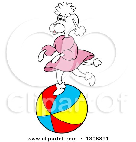 450x470 Dress Clipart Poodle