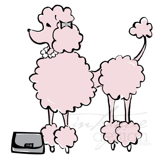 550x556 8 Best Poodles Images On Poodles, Animales