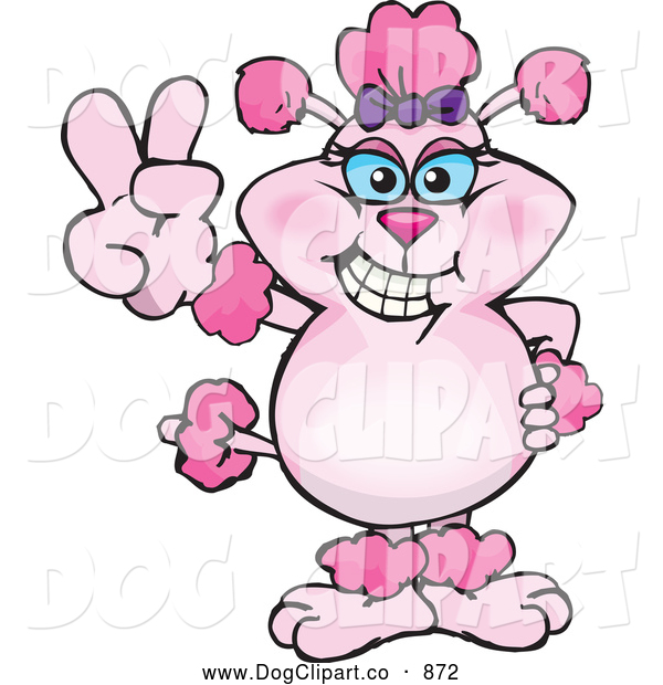 600x620 Toy Poodle Clipart