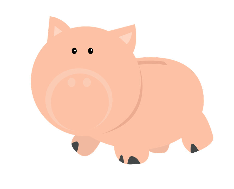 900x728 Selmabuenoaltran's Profile