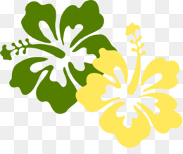 260x220 Hibiscus Alyogyne Huegelii Green Clip Art