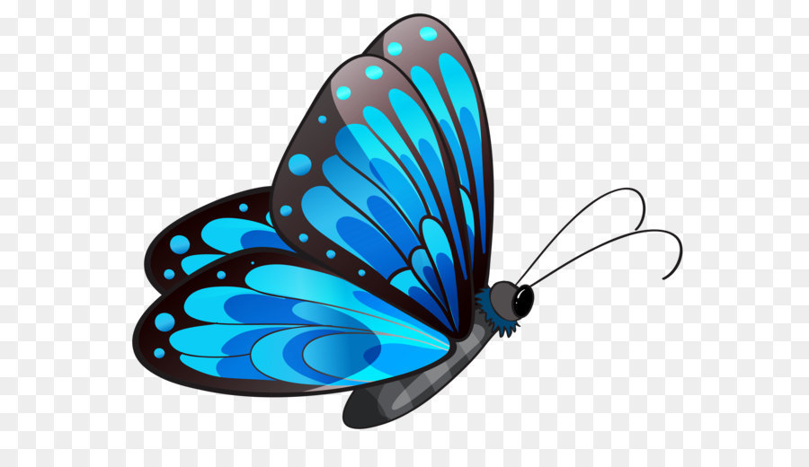 900x520 Butterfly Clip Art