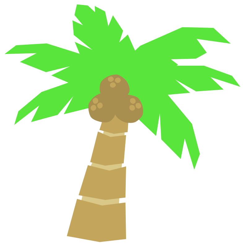 791x800 Collection Of Coconut Tree Clipart Png High Quality, Free
