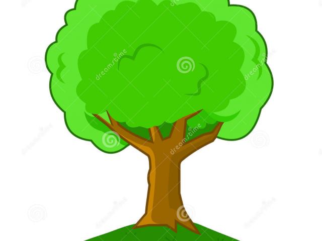 640x480 Quick Cartoon Pictures Of A Tree Cliparts Free Download Clip Art
