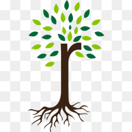 260x260 Root Png And Psd Free Download