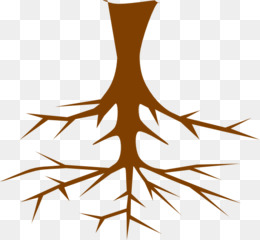 260x240 Tree Of Life Root Clip Art